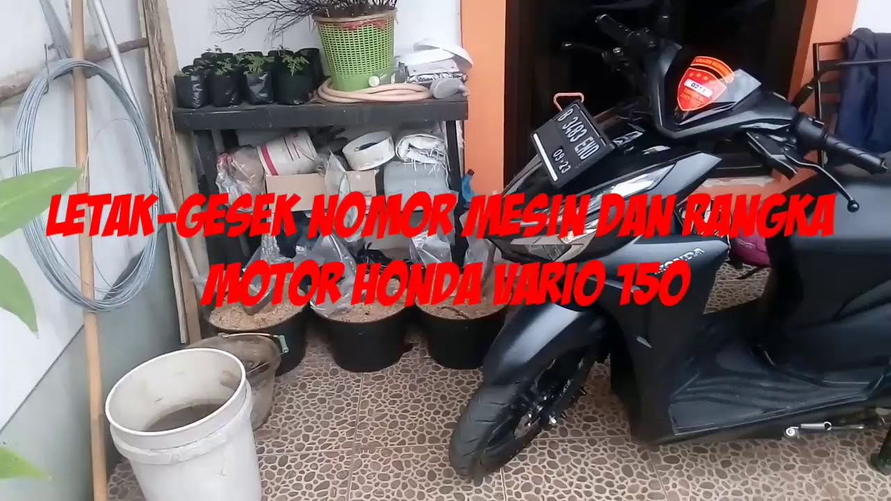 Harga Motor Vario Techno 2015. Letak - Gesek nomor mesin dan rangka Motor Honda Vario 150 - posisi nomor mesin honda vario 150